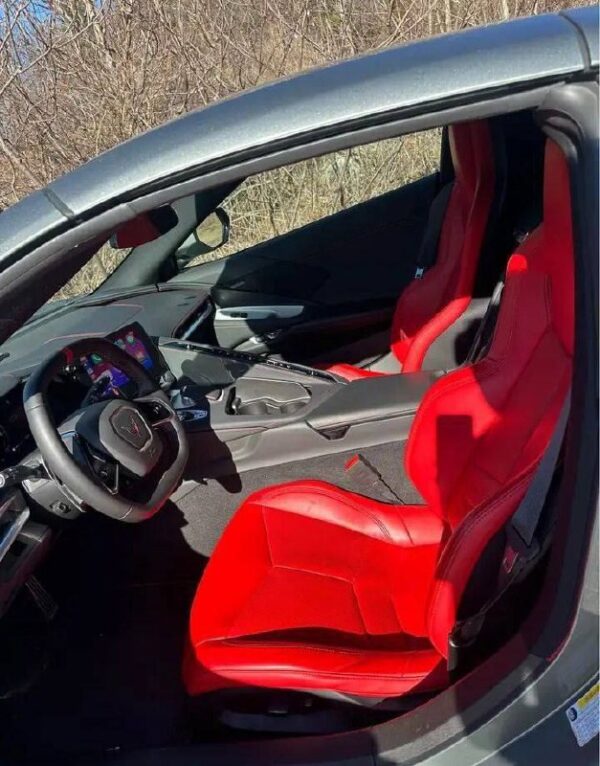 2022 Stingray - Image 5