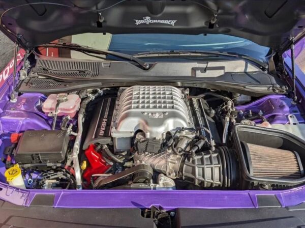 2018 Demon - Image 5